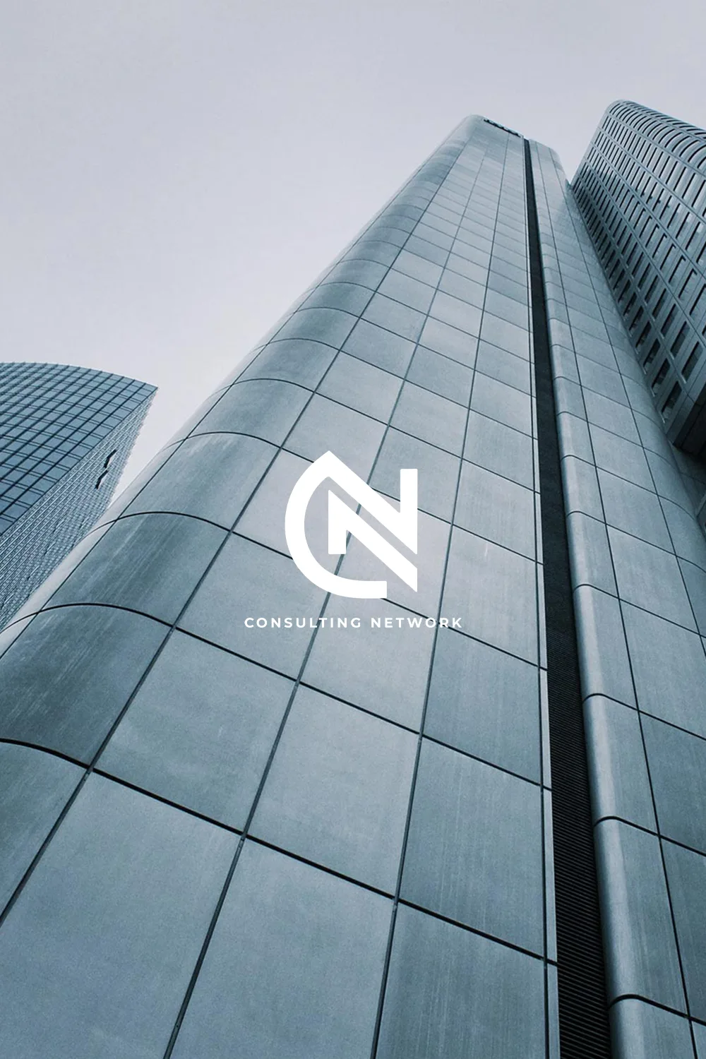 consulting network